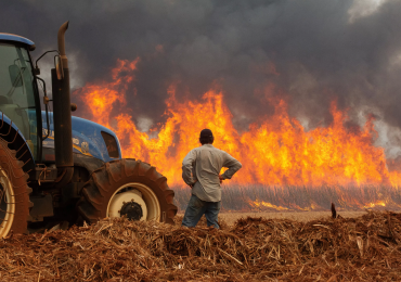 A fumaça que nos cobre, mais uma vez