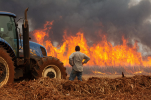 A fumaça que nos cobre, mais uma vez