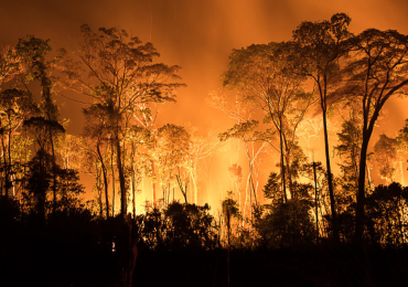 No Dia da Amazônia, bioma vive seca e incêndios recordes