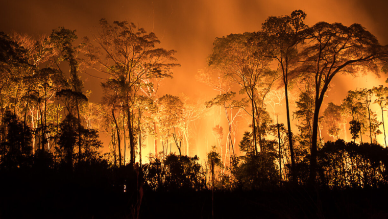 No Dia da Amazônia, bioma vive seca e incêndios recordes