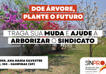 Sinpro Campinas lança campanha “Doe Árvore, Plante o Futuro”