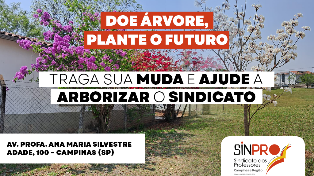 Sinpro Campinas lança campanha “Doe Árvore, Plante o Futuro”